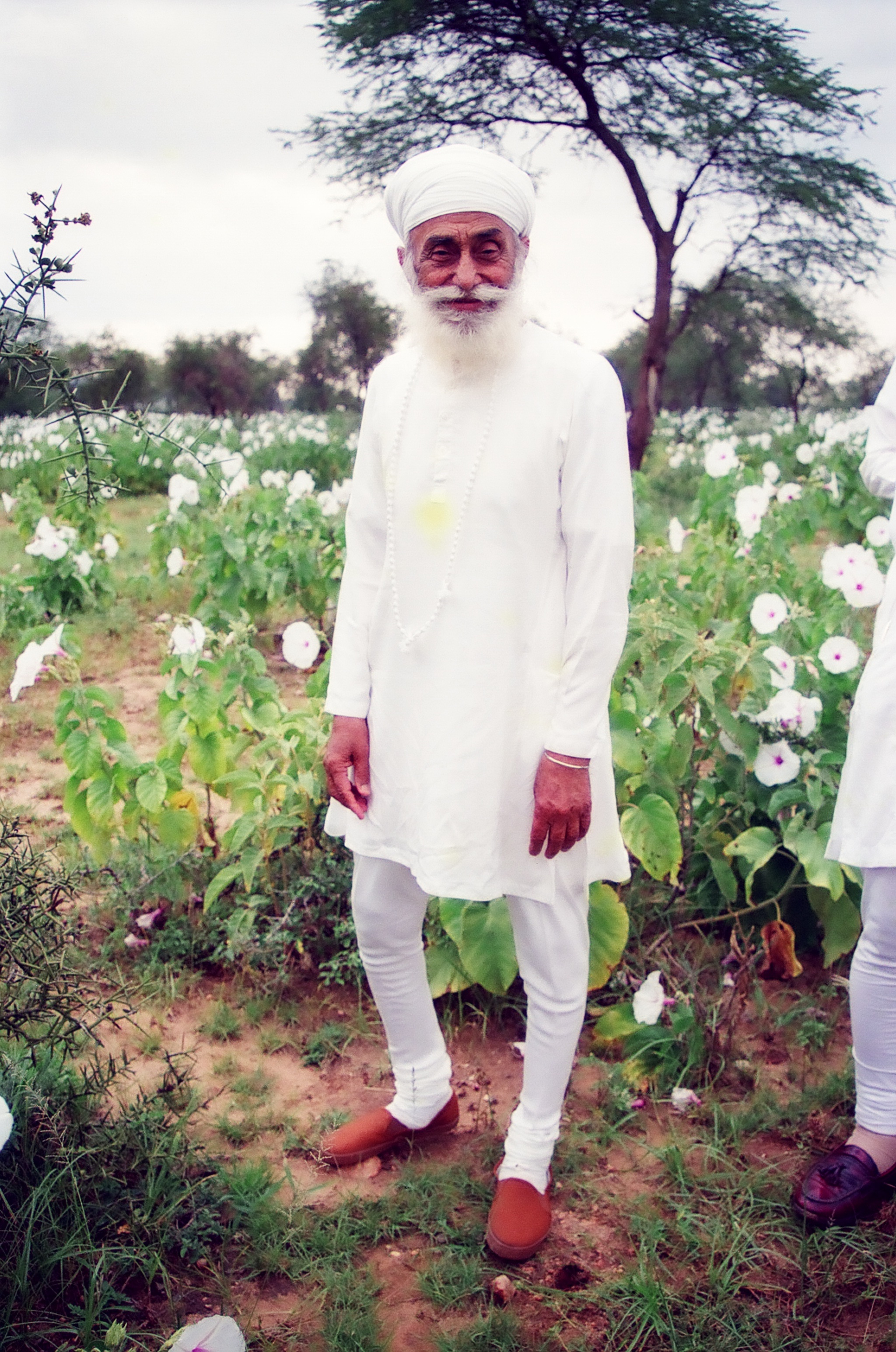 Right Slider Image 5